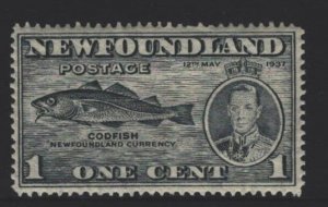 Newfoundland Sc#233 MNH