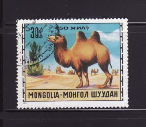 Mongolia 644 U Animals, Camel