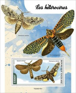 Togo - 2022 Moths, Carpenterworm Moth - Stamp Souvenir Sheet - TG220217b1