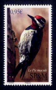 St. Pierre & Miquelon Sc# 1057 MNH Yellow-Bellied Sapsucker