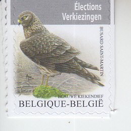 2024 BelgIum  Hen Harrier (Scott NA) MNH