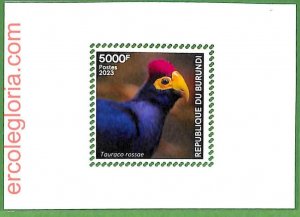 B1222 - BURUNDI - MISPERF ERROR Stamp Sheet - 2023 - Animals, Birds-