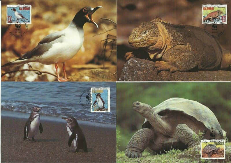 1992 ECUADOR  -  GALAPAGOS WILDLIFE - WORLD WILDLIFE FUND 4 x MAXI CARDS