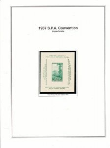 U S 1937 Commemorative Mint NH Year Set -17 Stamps 1 SS on Album Pages - 3 Scans
