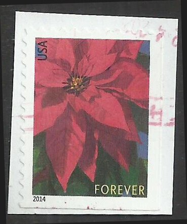 # 4816b USED POINSETTIA
