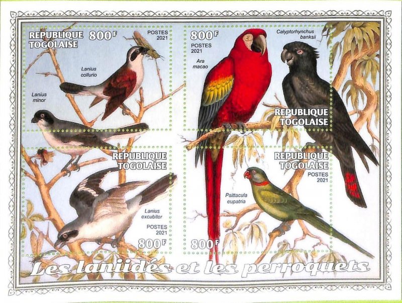 A8887  - TOGOLAISE - Stamp Sheet - 2021  BIRDS PARROTS