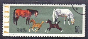 POLAND SC# 1191 used  50g 1963 HORSES