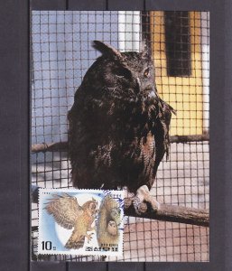 N. Korea, Scott cat. 3056 only. Owl, Bird of Prey, Max. Card..