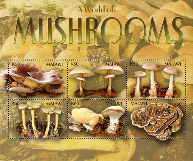 Malawi - 2003 Mushrooms MS MNH** SG MS1020