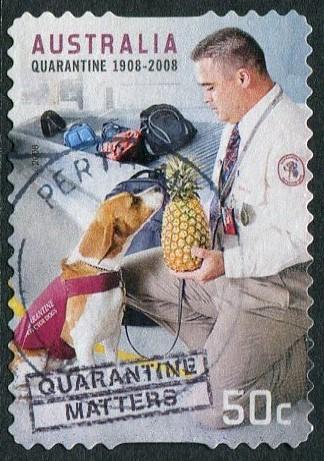 100 YEARS OF QUARANTINE 2008 - 50c USED SELF-ADHESIVE