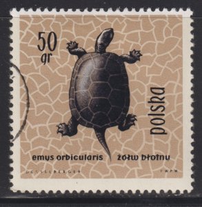 Poland 1136 European Pond Turtle 1963