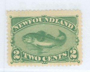 Newfoundland #46 Unused