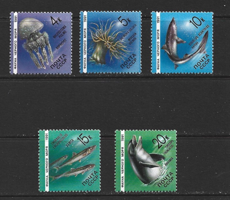 RUSSIA - 1991 MARINE LIFE - SCOTT 5954 TO 5958 - MNH