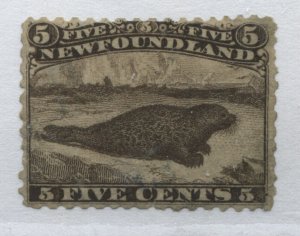 Newfoundland 1865 5 cents brown mint no gum 