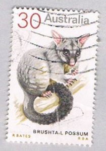 Australia 568 Used Possum 1973 (BP55217)
