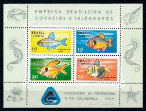 [99693] Brazil 1969 Marine life sea shells fish sea horse Imperf. Sheet MNH