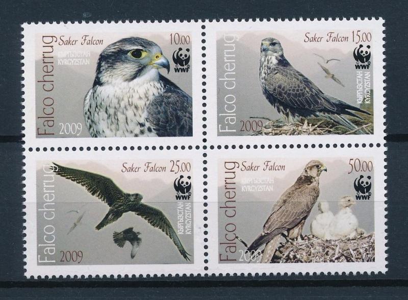 [53638] Kyrgyzstan 2009 Birds Vögel Oiseaux Ucelli of prey WWF Falcon MNH