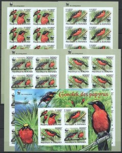 Ss0985 Imperf 2011 Burundi Fauna Birds Wwf 1Kb+10Set Mnh