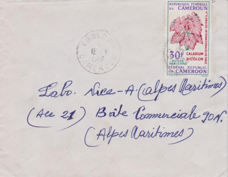 Cameroun 30F Caladium Bicolor 1969 Ebolowa, Cameroun Airmail to Nice, France....