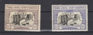 USA 1934 Brooklyn Exhibition Pair MNH JK8104