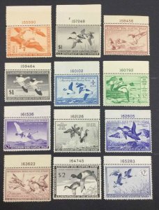 MOMEN: US STAMPS #RW11-RW22 DUCK MINT OG NH LOT #74316