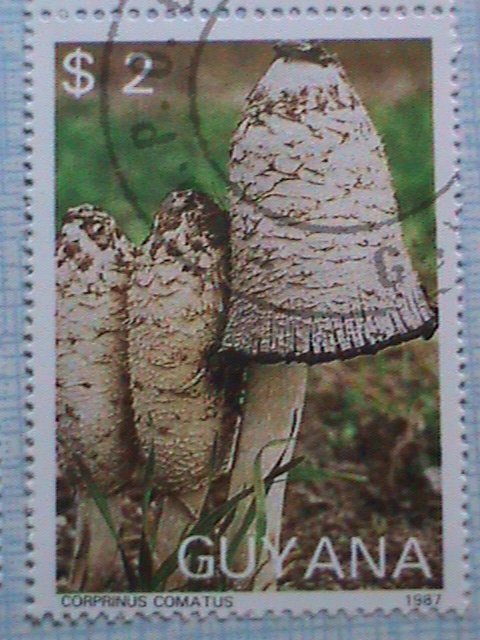 GUYANA COLORFUL MUSHROOM CTO, COMPLETE SET WITH SOUVENIR SHEET, RARE