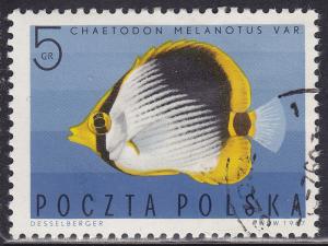 Poland 1492 Striped Butterfly Fish 1967