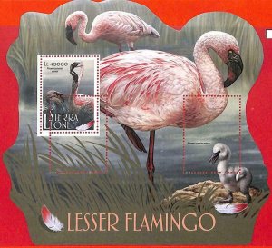 A4700 - SAW LION - MISPERF ERROR, souvenir sheet: 2017, flamingos,...-