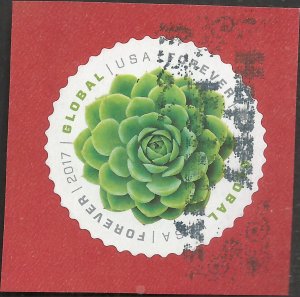 # 5198 Used Green Succulent