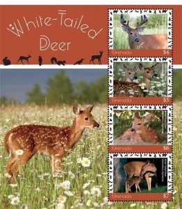 Grenada 2019 - White Tailed Deer Sheet of 4 - Scott #4334 - MNH