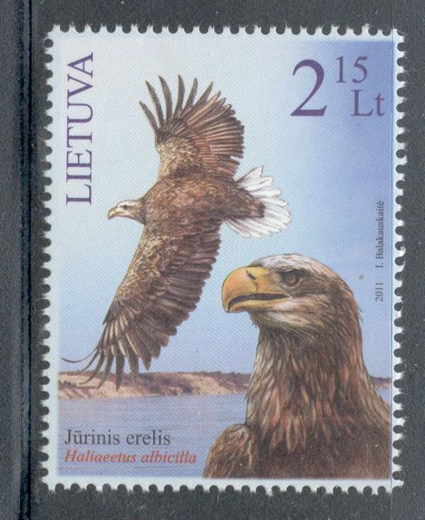 Lithuania Sc 954 2011 White Tailed Eagle stamp mint NH