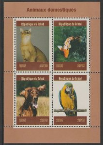 CHAD - 2019 - Domestic Pets - Perf 4v Sheet - Mint Never Hinged - Private Issue