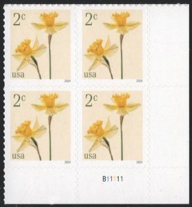 NEW ISSUE: 2¢ Daffodils Plate Block: LR #B11111 (2024) SA