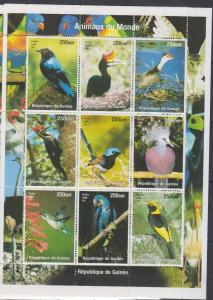 GUINEE GUINEA SHEET BIRDS PARROTS