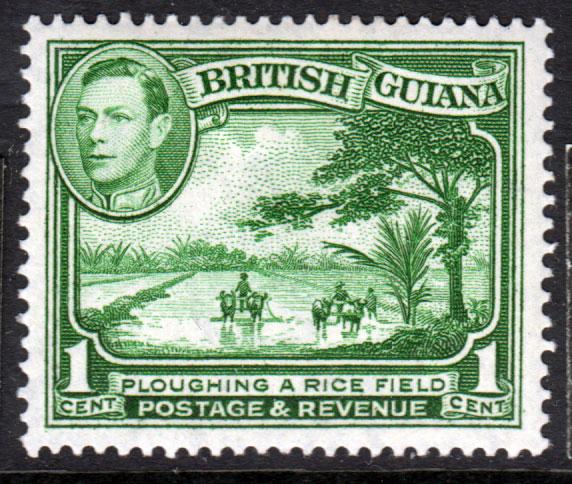 British Guiana KGVI 1938 1c Green SG308b Mint Lightly Hinged