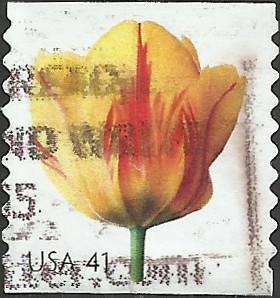 # 4171 USED TULIP