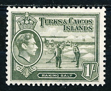 Turks & Caicos Islands #86A Single MNH