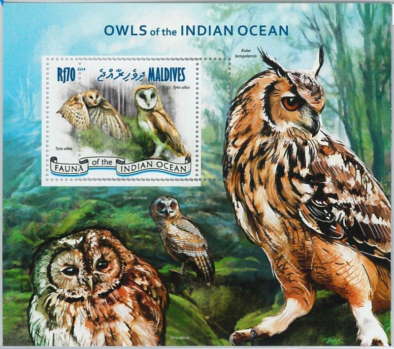 MALDIVES - ERROR, 2014 MISSPERF SHEET: OWLS OF THE INDIAN OCEAN, BIRDS