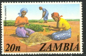 ZAMBIA 1975 20n PEANUT HARVEST Pictorial Sc 144 VFU