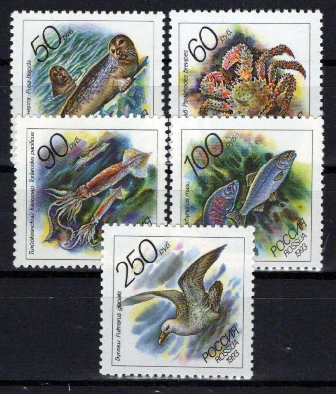 Russia & Soviet Union 6158-6162 MNH Marine Life Fish Birds ZAYIX 0624S0260