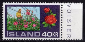 Iceland 1972 Sc#445 HOTHOUSE ROSES Single MNH