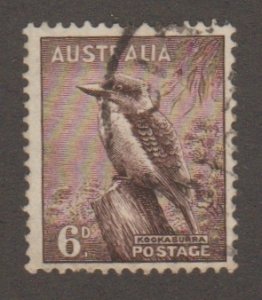 Australia 173 - kooka burra