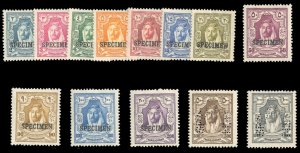 Jordan #145-157S (SG 159-171s) Cat£375, 1927-29 2m-1000m, overprinted or per...