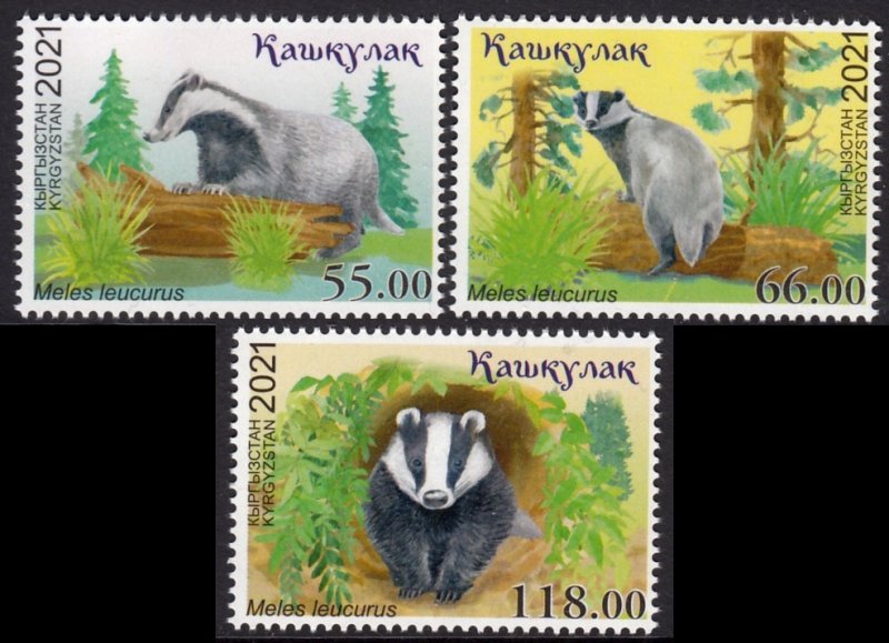 KYRGYZSTAN 2021 BADGER WILD ANIMALS ANIMAUX SAUVAGES WILDE TIERE [#2101]