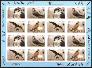 Kyrgyzstan 2009 WWF Birds Falcons sheet of 16 Imperf.  MNH