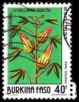 Burkina Faso SG#1085 Used - 1994 40f.  - Vegetables