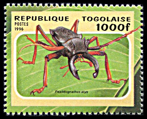 Togo 1712, MNH, Beetle single from souvenir sheet