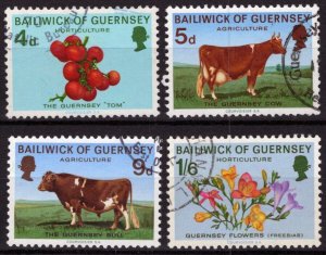 ZAYIX Guernsey 33-36 Used Farm Animals Plants Food Agriculture 021423S95