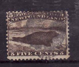 Newfoundland-Sc#25- id8-used 5c brown seal-1865-94-S/H fee reflects cost of trac