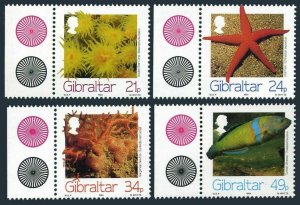 Gibraltar 662-665,MNH.Mi 696-699. Marine Life,1994.Golden star coral,Sea pan,